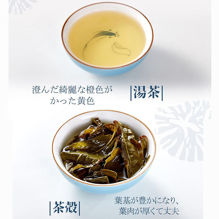 炭火焙煎 烏龍茶(茶葉 50g缶)