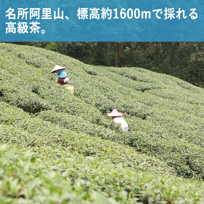 【台湾茶 炭紀】高級茶葉 阿里山青心烏龍茶 ( 茶葉 50g x 1 )  炭火焙煎 標高約1600m付近採取 SGS470種残留農薬検査済